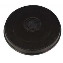 Filtre à charbon (à l'unité) type 233