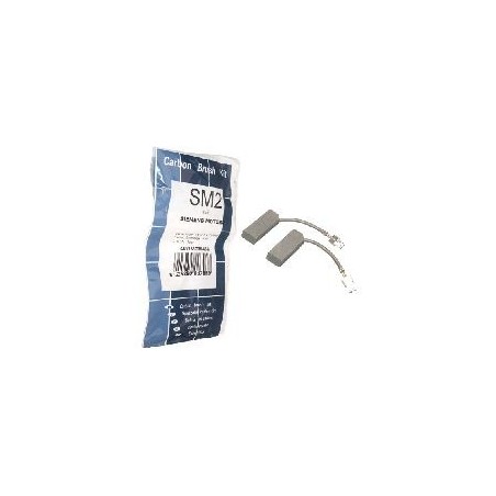 Charbon moteur lave linge SIEMENS - BOSCH