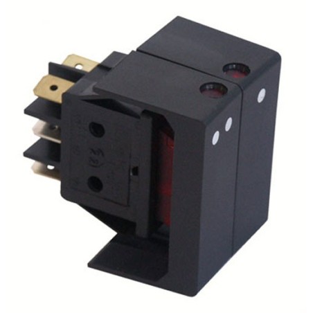 Interrupteur double pour radiateur DELONGHI 310920