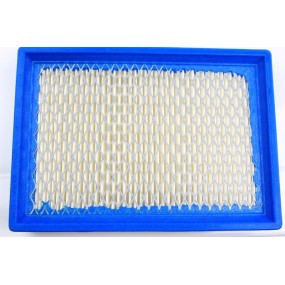Filtre a air Briggs  et  Stratton serie Max