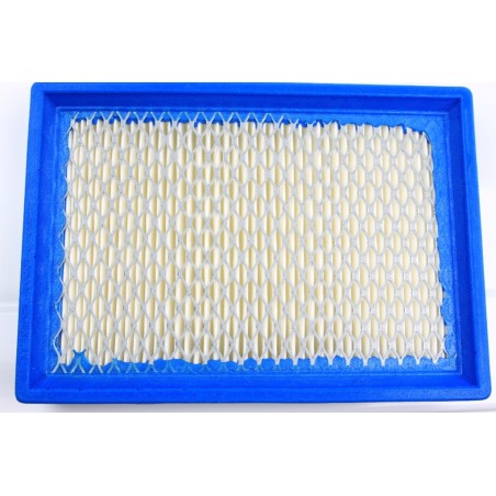 Filtre a air Briggs  et  Stratton serie Max