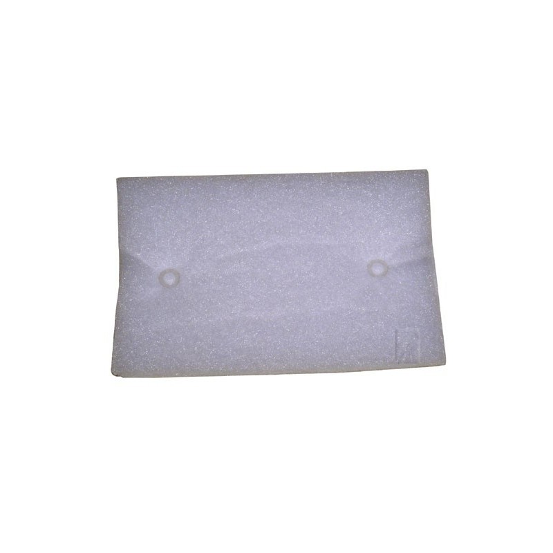 Filtre protection moteur pour aspirateur AEG / PROGRESS