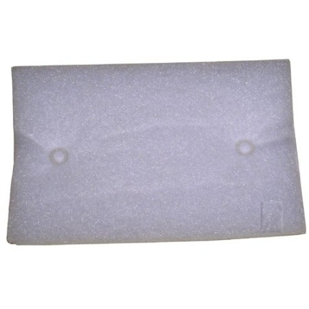 Filtre protection moteur pour aspirateur AEG / PROGRESS