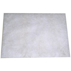 Filtre protection moteur pour aspirateur BOSCH / SIEMENS