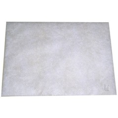 Filtre protection moteur pour aspirateur BOSCH / SIEMENS