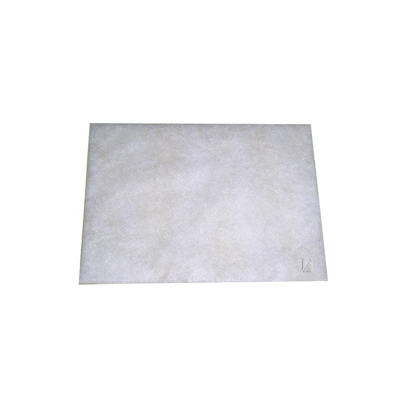 Filtre protection moteur pour aspirateur BOSCH / SIEMENS Filtre protection moteur pour aspirateur BOSCH / SIEMENS