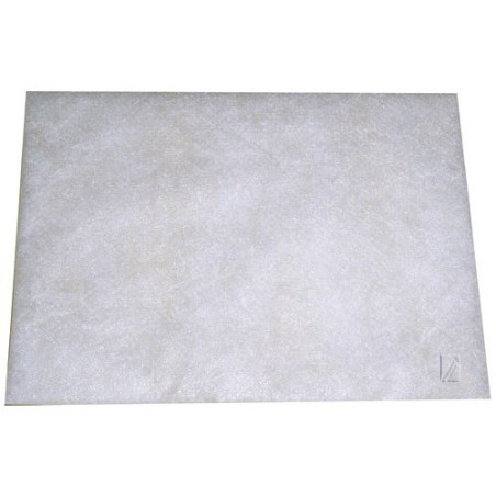 Filtre protection moteur pour aspirateur BOSCH / SIEMENS