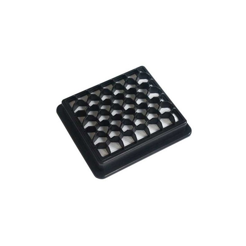 Filtre HEPA pour aspirateur HOOVER TELIOS