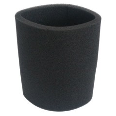Filtre protection moteur pour ROWENTA Collecto