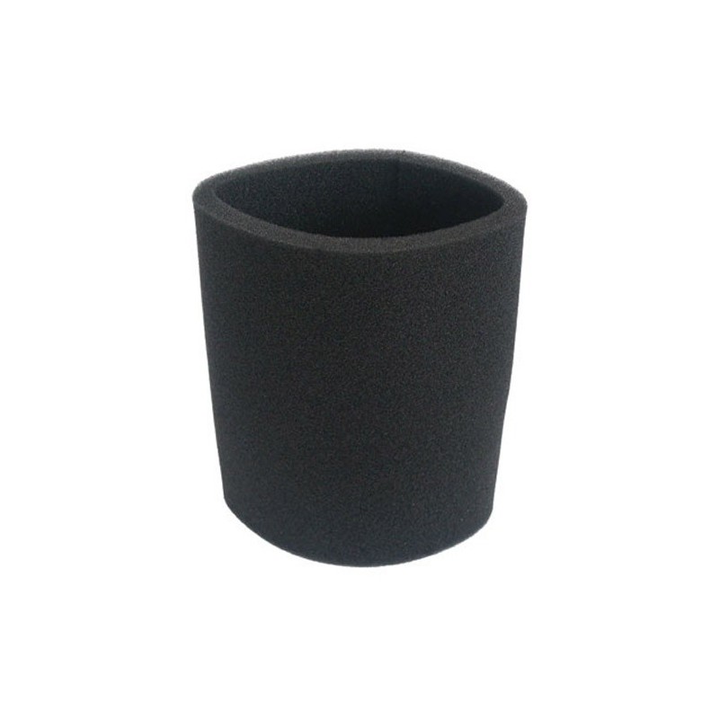 Filtre protection moteur pour ROWENTA Collecto