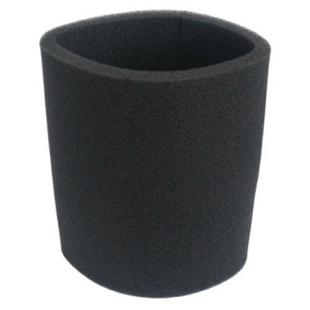 Filtre protection moteur pour ROWENTA Collecto