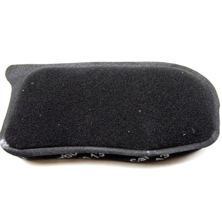 Filtre CARBONE pour extracteur aspirateurs VORWERK VK130 ET VK131