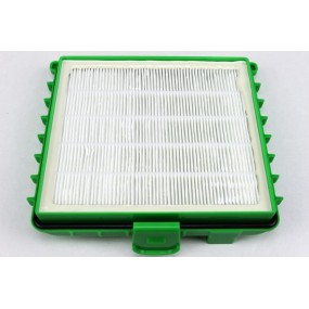 Filtre RS-RT3317, ZR002901, ROWENTA SILENCE FORCE - XTREM POWER