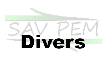 DIVERS