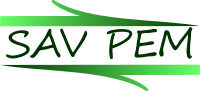 IBEA